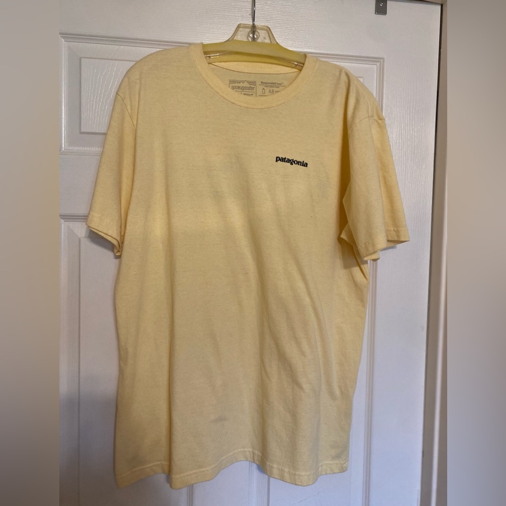 Patagonia T shirt size large